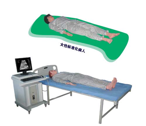 ý峬没ģѧϵͳ