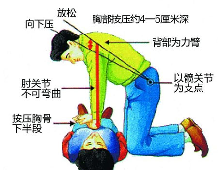 心肺复苏模拟人,心肺复苏训练人体模型 心肺复苏模拟人,心肺复苏训练人体模型